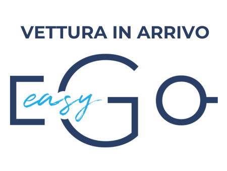 AUTO USATE FORD FOCUS V ECOBOOST HYBRID ST LINE 155 CV A MONZA